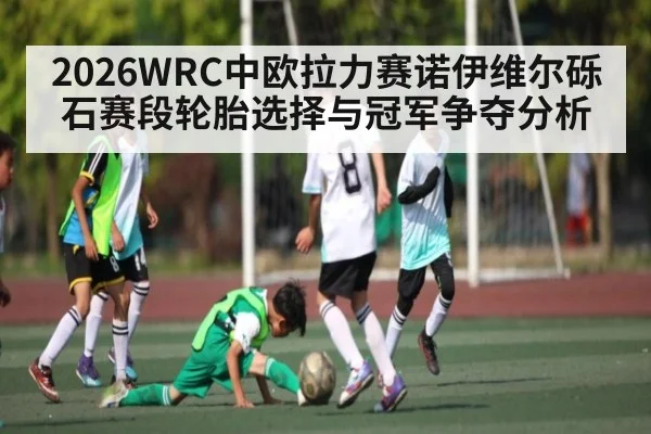 2026WRC中欧拉力赛诺伊维尔砾石赛段轮胎选择与冠军争夺分析