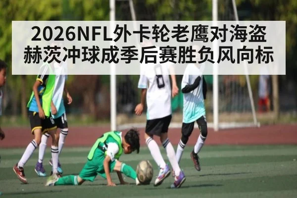 2026NFL外卡轮老鹰对海盗 赫茨冲球成季后赛胜负风向标