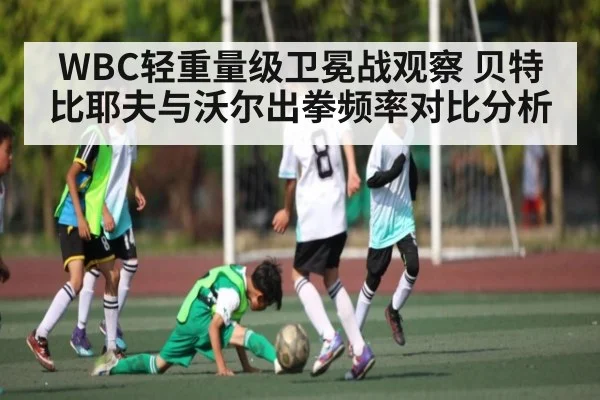 WBC轻重量级卫冕战观察 贝特比耶夫与沃尔出拳频率对比分析